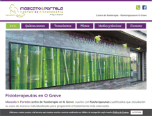 Tablet Screenshot of fisioterapiamascatoportela.com